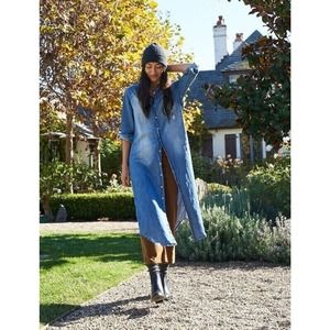 Frank & Eileen Sz L Rory Dress in Distressed Indigo Blue Denim Shirtdress